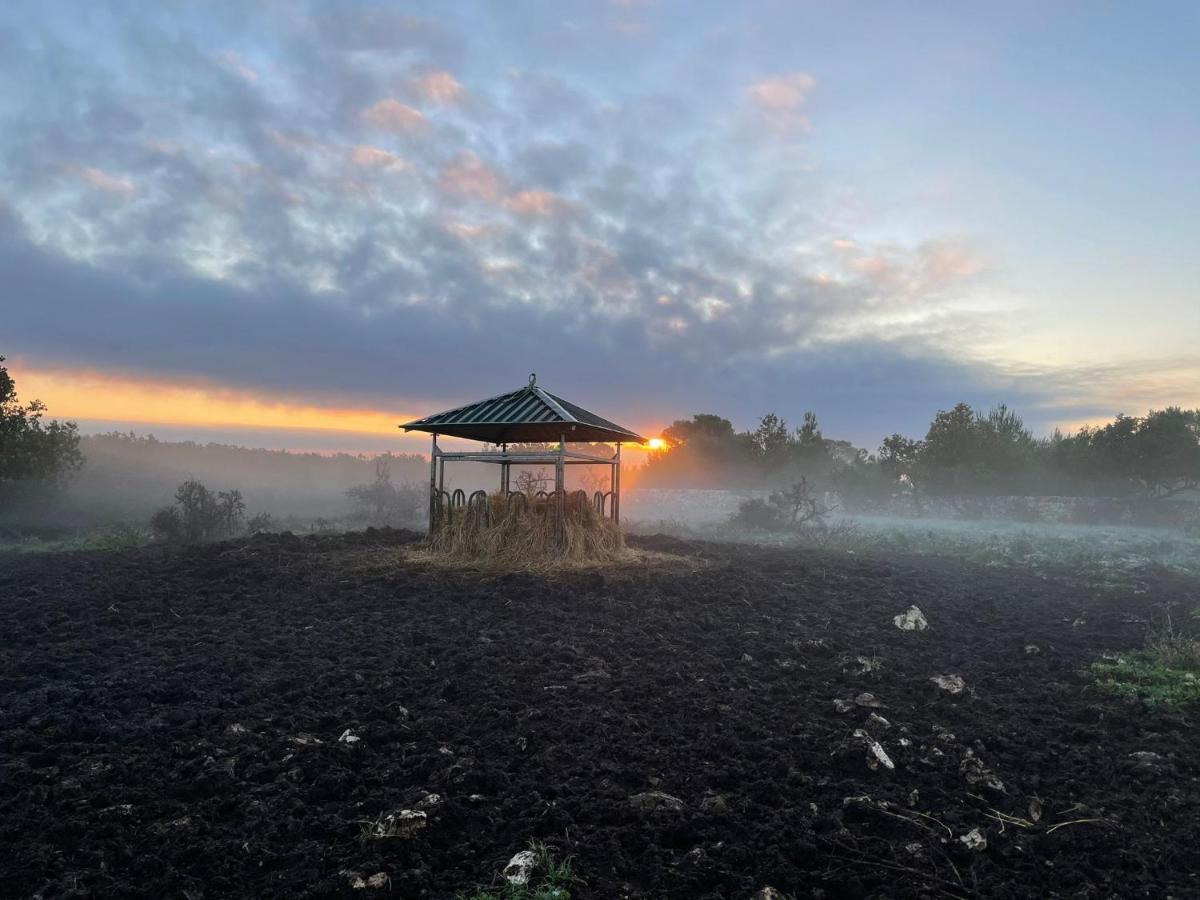 Donnapaola Modern Farm Villa อัลตามูรา ภายนอก รูปภาพ